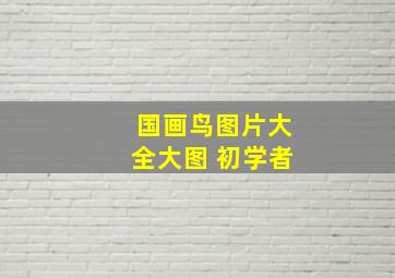 国画鸟图片大全大图 初学者